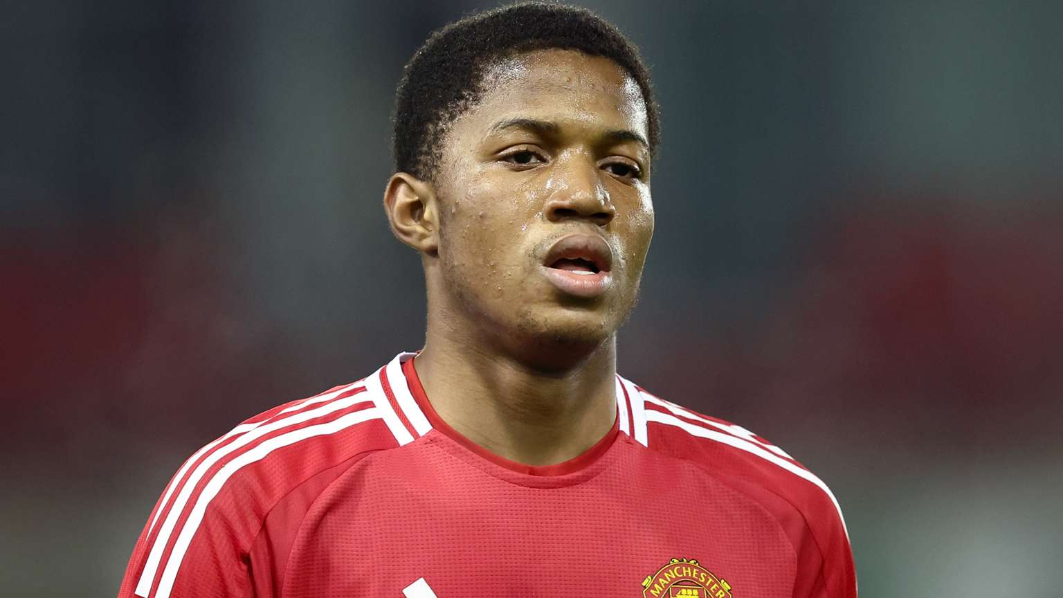 让人们看到 让人们看到