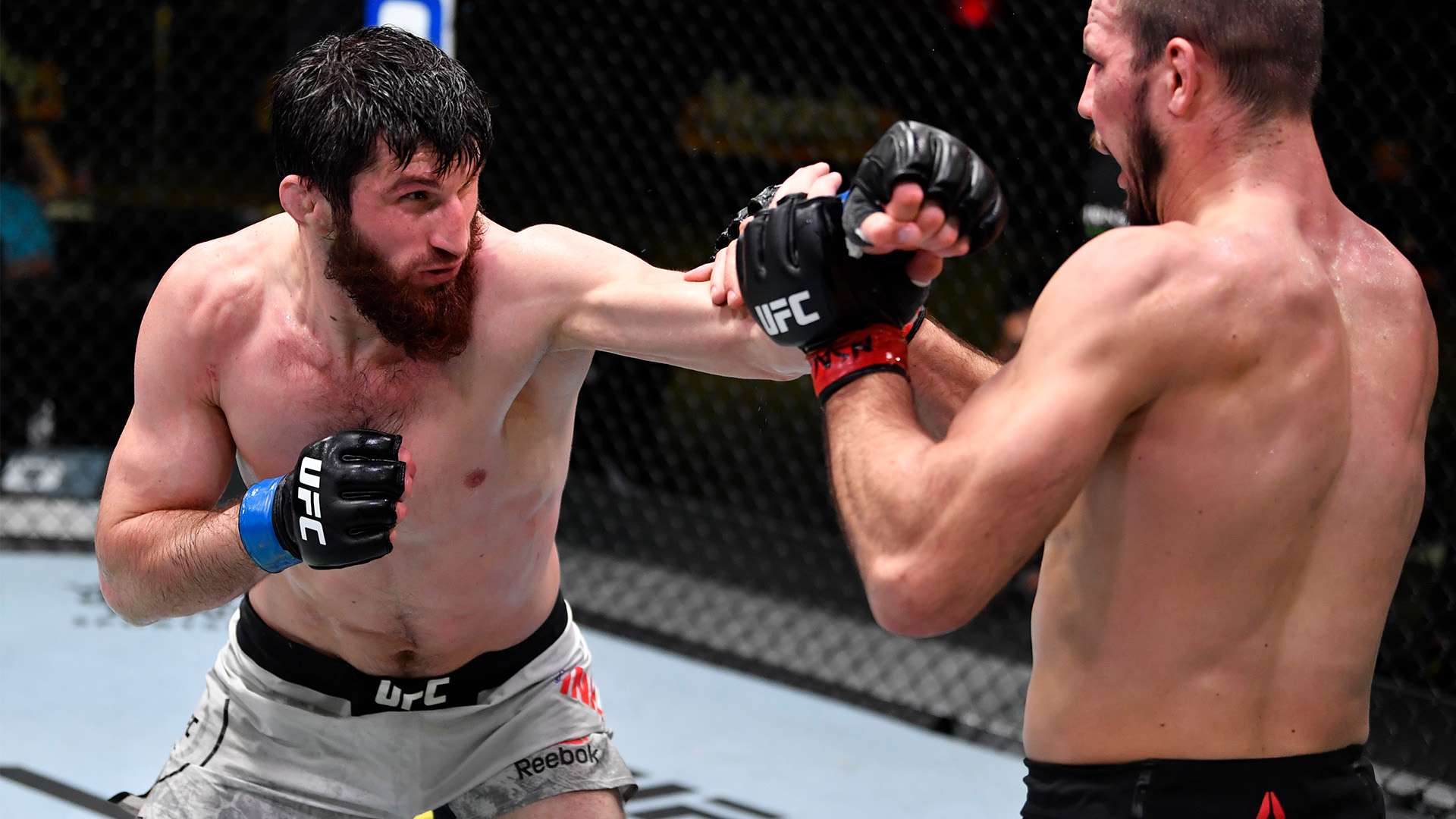 “史上最令人失望的世界杯”