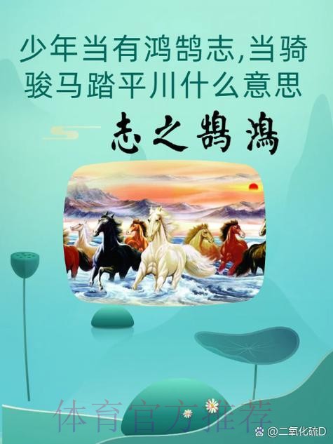 精英群雄逐鹭 厦马一触即发 精英群雄逐鹭 厦马一触即发